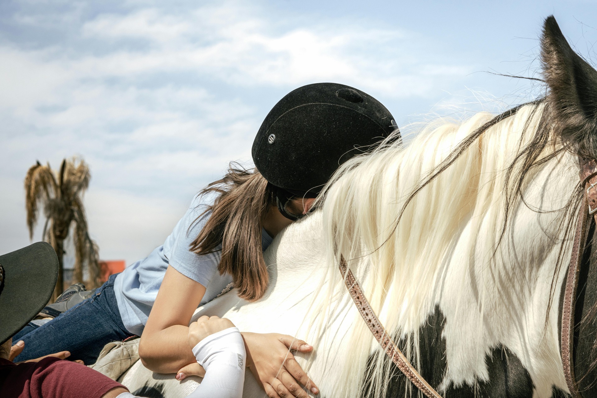 Horse therapy moment